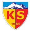 开塞利体育
